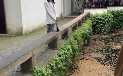 虎胆雄心百度影音